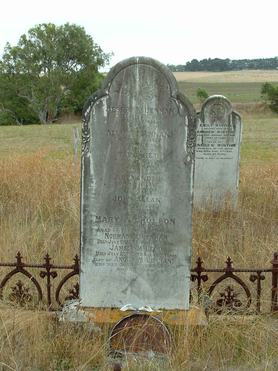 Photo of headstones/Allan McLennan d1887 hdstn Ellerslie Vic
